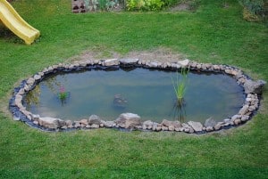 Sauberer Teich
