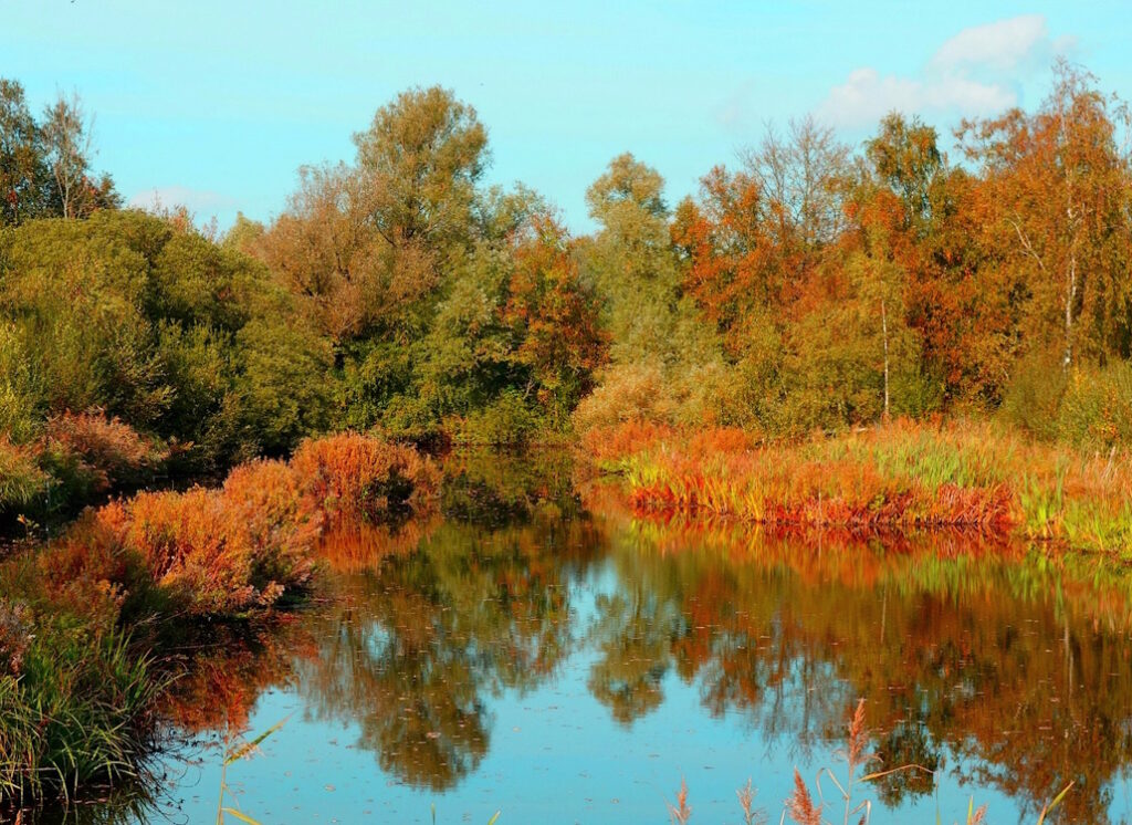 Das Foto zeigt einen See im Herbst