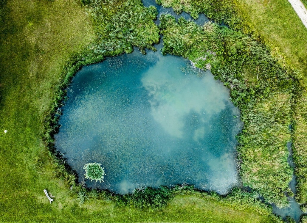 gartenteich-richtig-einzaunen