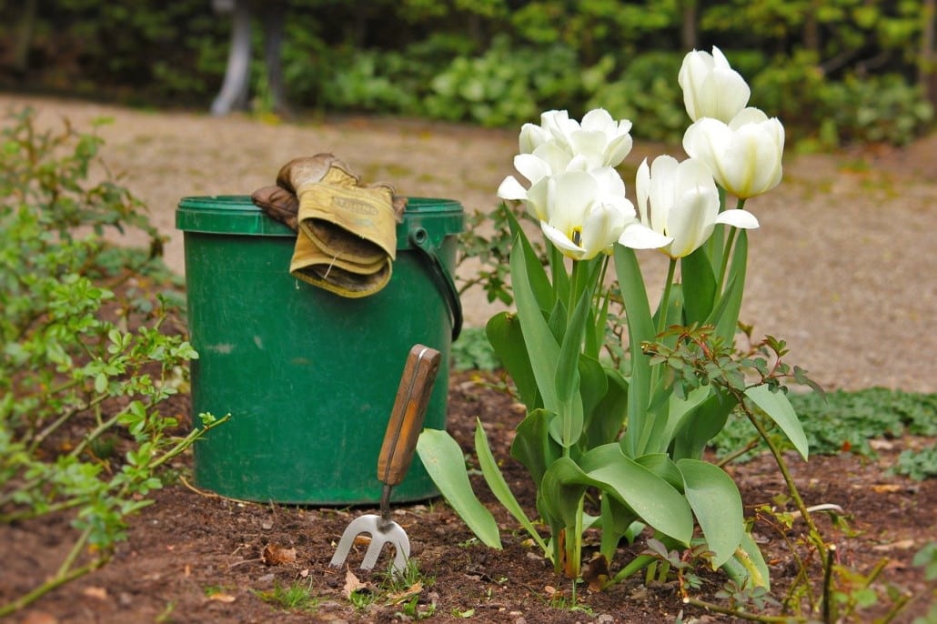 garten_fruehlingsfit_machen