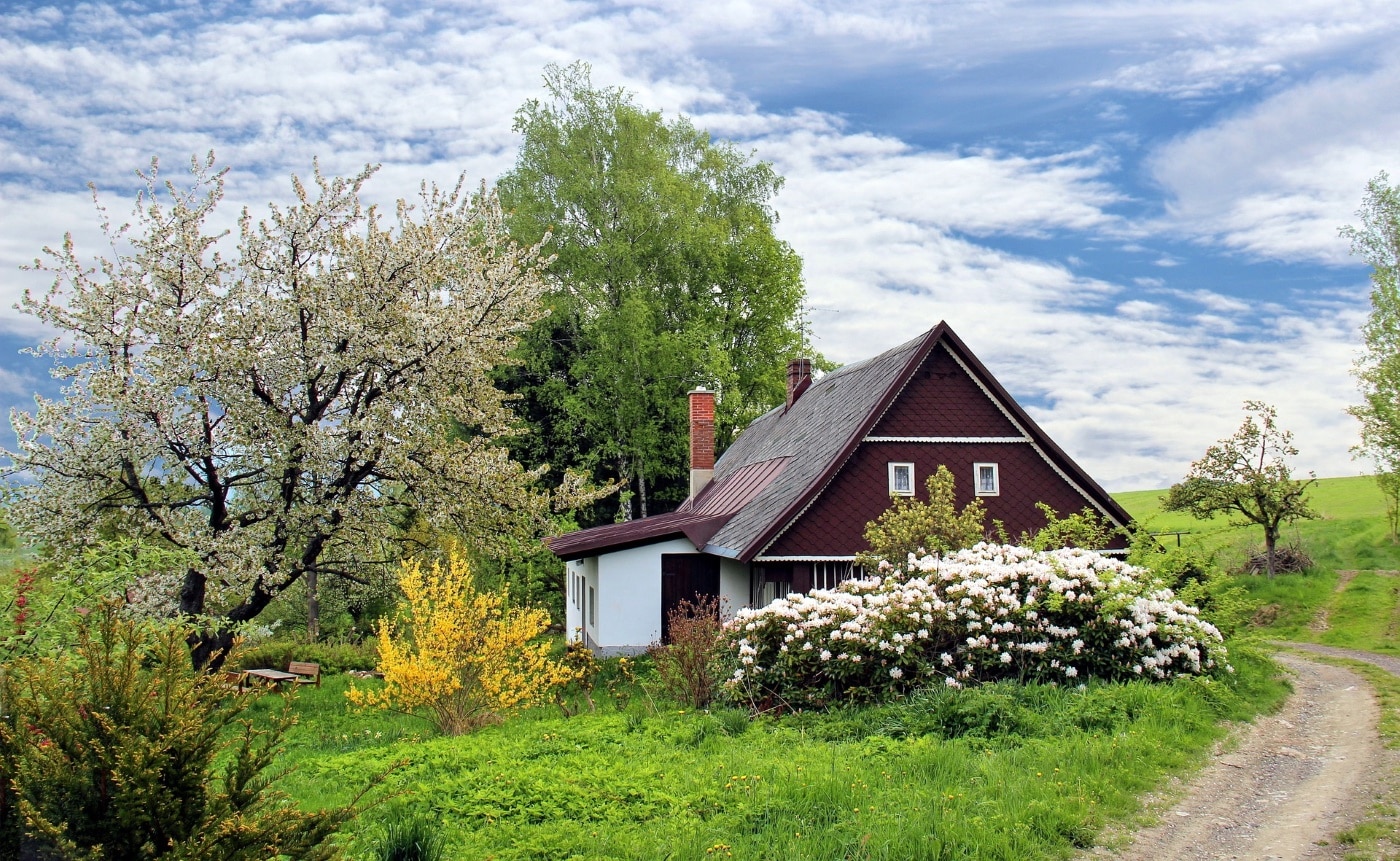 Eigener Garten