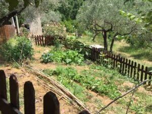 Naturnaher Garten