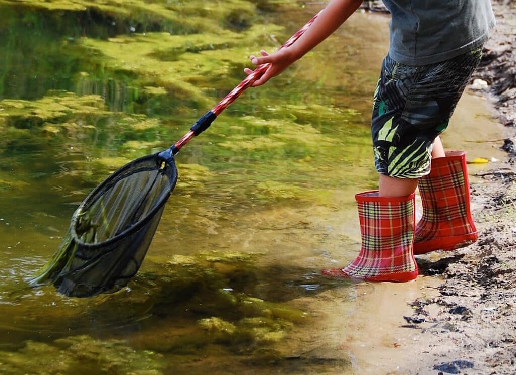 Das Foto zeigt, wie ein Kind mit dem Kescher etwas aus dem Wasser fischt